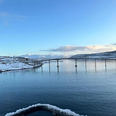 Quality Richard With *