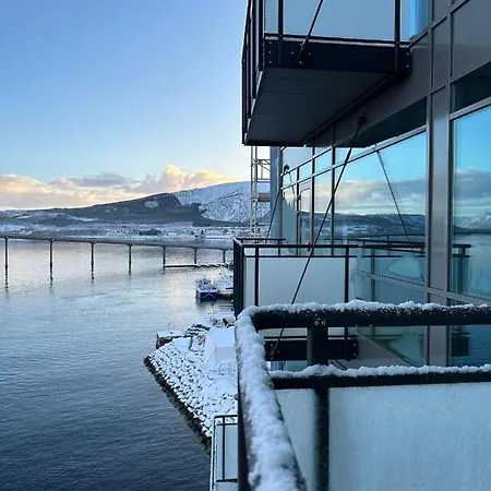 Quality Richard With